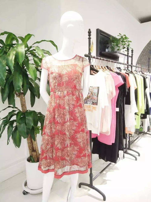 慧兰女装 优雅风尚，演绎东方女性的独特魅力